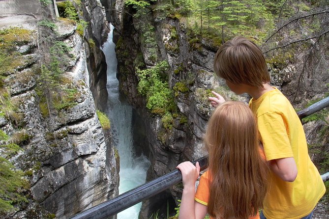 Discover Jasper and its Wildlife - Who this fits best (and who might not love it)