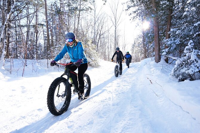 Electric Fat Biking Adventure in Banff | Small Group Adventure - Fenland Trail: Summer-Season Beauty and Real Traction