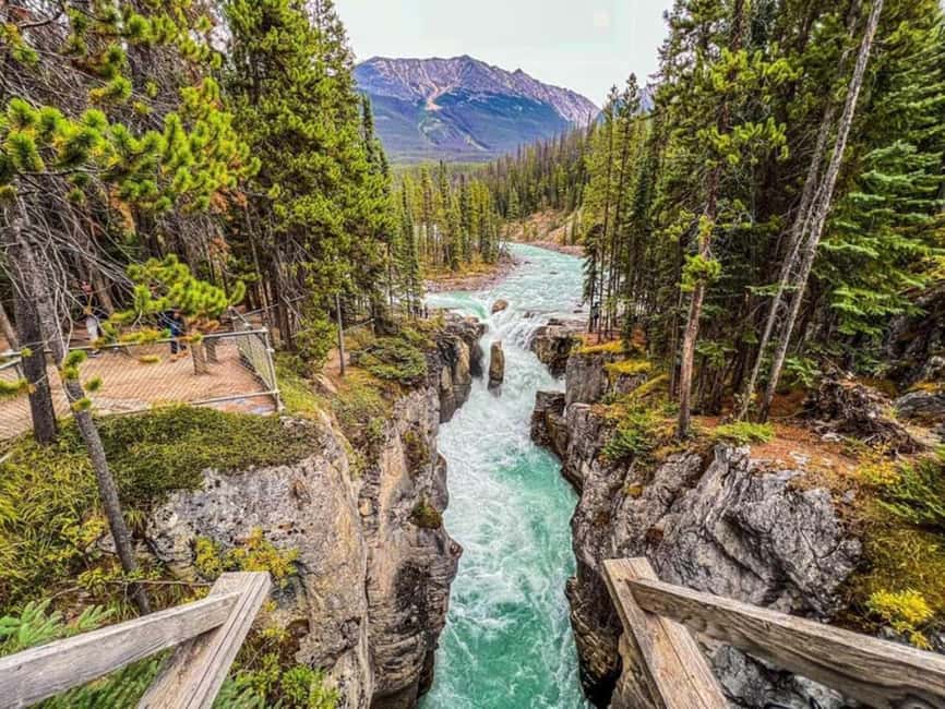 Emerald Lake, Lake Louise, Johnston Lake & Banff Gondola - Riding in comfort through Banff, Yoho, and beyond