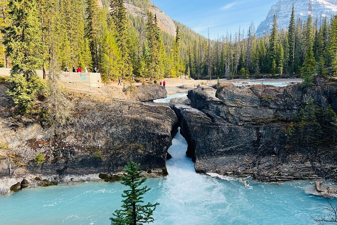 Emerald Lake,Natural Bridge, Wapta Falls & Takakkaw Falls in Yoho - Key points before you go