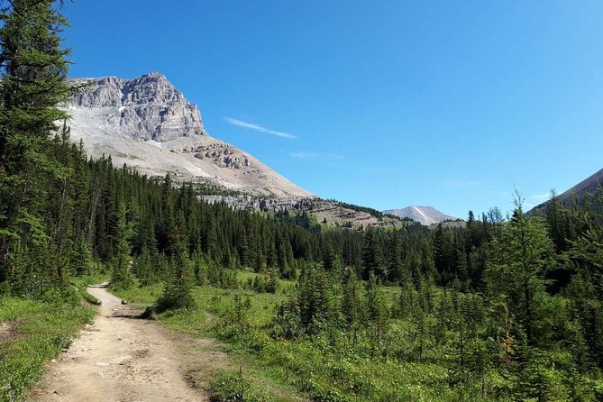 Exclusive Skoki Backcountry Guided Hiking in Lake Louise with Van Shuttle - Skoki’s Van Shuttle Up Lake Louise Fire Road: Faster Mountain Time