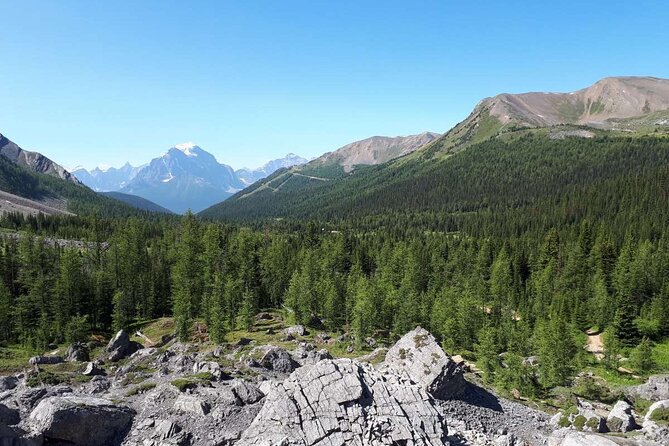 Exclusive Skoki Backcountry Guided Hiking in Lake Louise with Van Shuttle - Lunch in the Backcountry: Turkey Sandwich, Snacks, and the Best Break