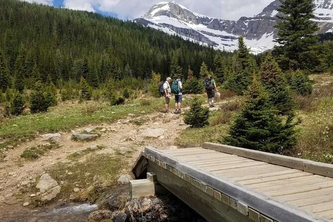 Exclusive Skoki Backcountry Guided Hiking in Lake Louise with Van Shuttle - What the Day Feels Like: Wildflowers, Streams, and Fewer People