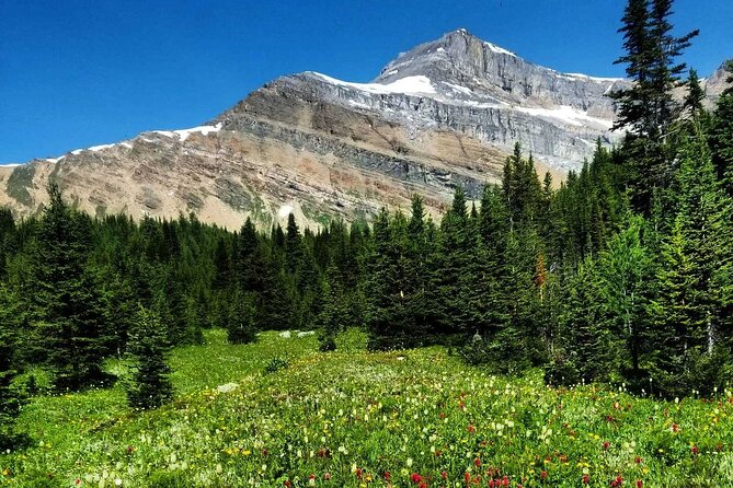 Exclusive Skoki Backcountry Guided Hiking in Lake Louise with Van Shuttle - Price and Value: Does $154.42 Add Up?