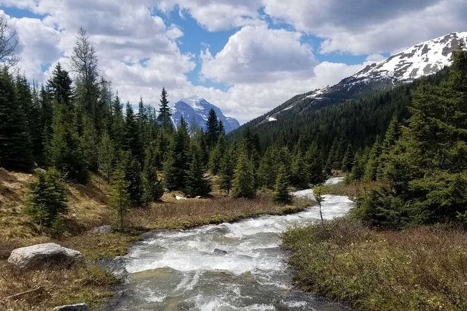 Exclusive Skoki Backcountry Guided Hiking in Lake Louise with Van Shuttle - Who Should Book This Skoki Hike (and Who Might Prefer Something Else)