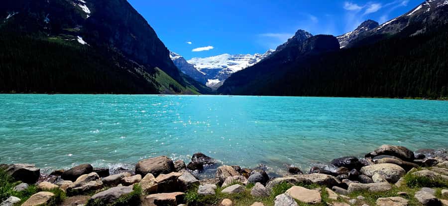 Explore 9 Iconic Banff Spots in 1 Epic Day!(Pax 12/Group) - Peyto Lake: The Wolf-Shaped Lake and a Short Walk