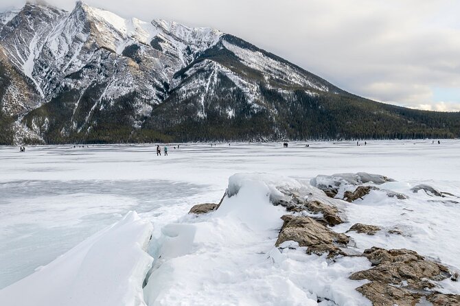 Explore Banff + Wildlife - Your guide matters: Austin and Josh set the tone