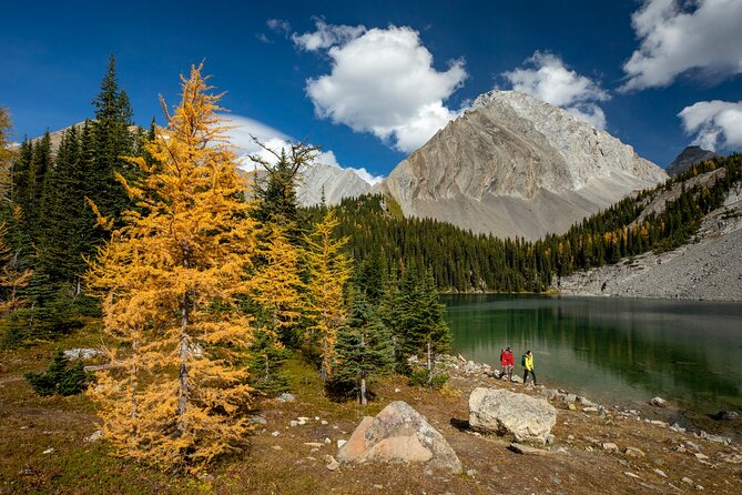 EXPLORE Canmore's HIDDEN Trails and Local Landmarks - 3H Hike - Key highlights you’ll feel on the trail