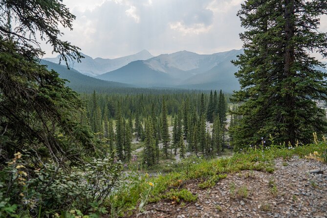 EXPLORE Canmore's HIDDEN Trails and Local Landmarks - 3H Hike - Small group size and a calmer, more personal hike