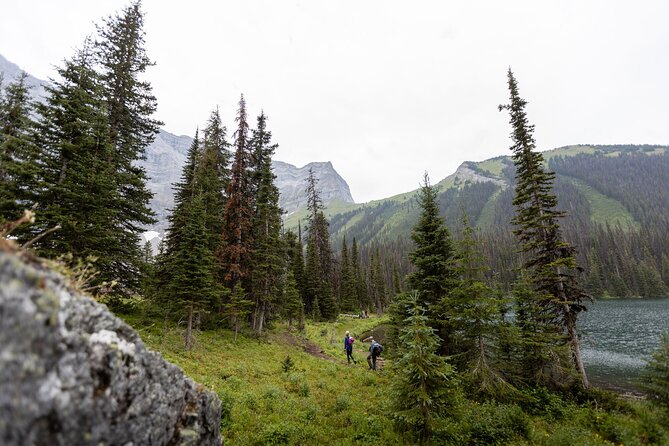EXPLORE Canmore's HIDDEN Trails and Local Landmarks - 3H Hike - Weather matters: when to choose this and when to be flexible