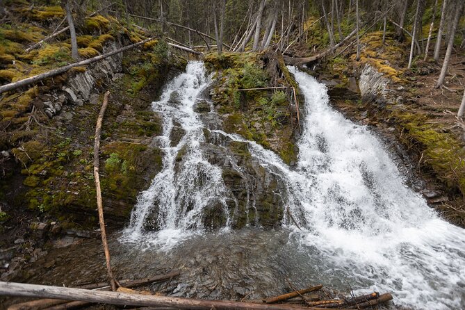 EXPLORE Canmore's HIDDEN Trails and Local Landmarks - 3H Hike - Who should book this Canmore Hidden Trails hike?
