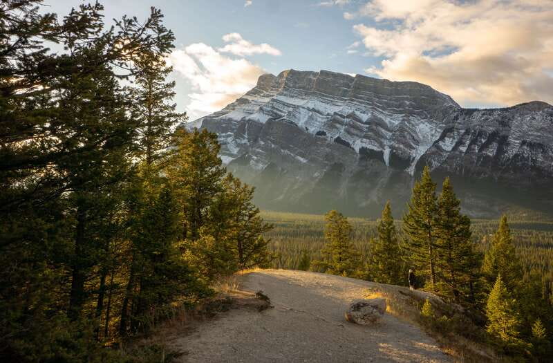 From Banff: Banff Wildlife & Scenic Highlights Premium Tour - Key points to know before you go
