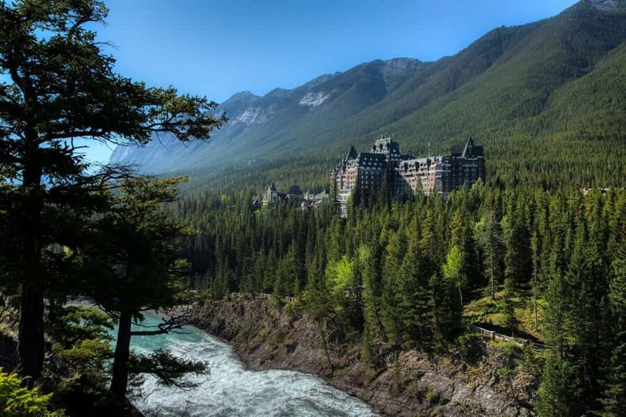 From Banff: Banff Wildlife & Scenic Highlights Premium Tour - The wildlife odds: what 95% means, and what it doesn’t