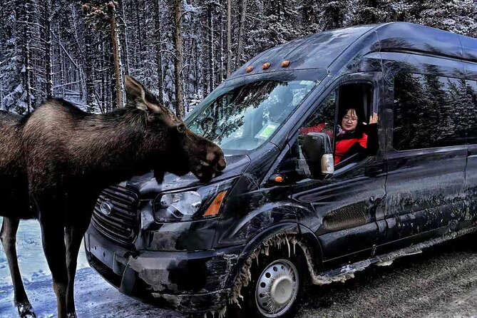 From Banff/Canmore: Trip to Moraine Lake and Lake Louise - Comfort, safety, and the driver role on this shuttle