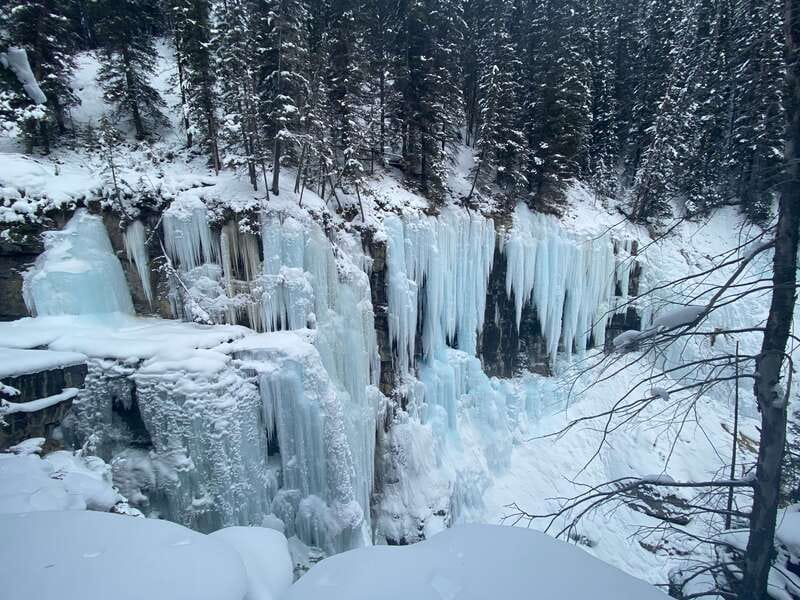 From Banff: Johnston Canyon Guided Icewalk - From Mount Royal Hotel to Johnston Canyon: the practical rhythm of the day