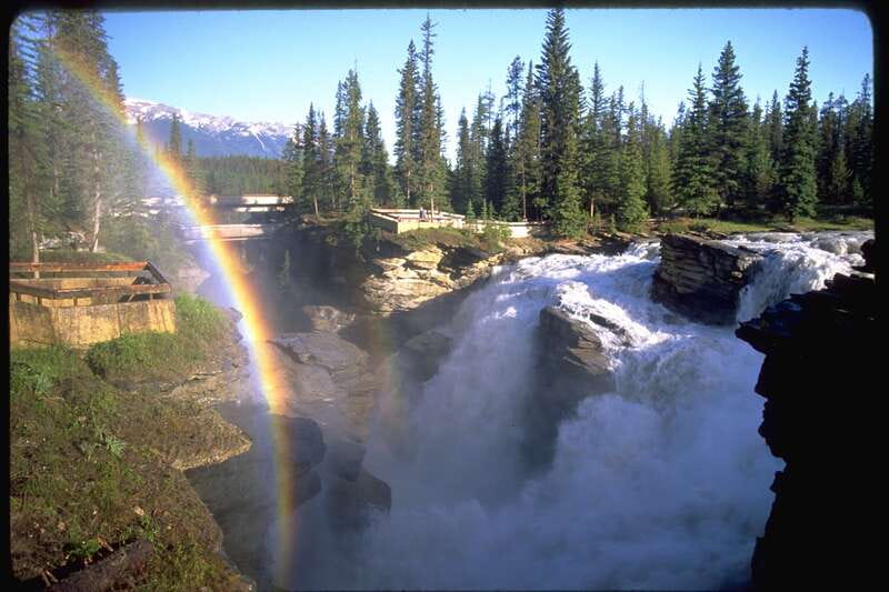 From Banff/Lake Louise: 1-Way Sightseeing Tour to Jasper - Picnic Lunch at a Scenic Viewpoint