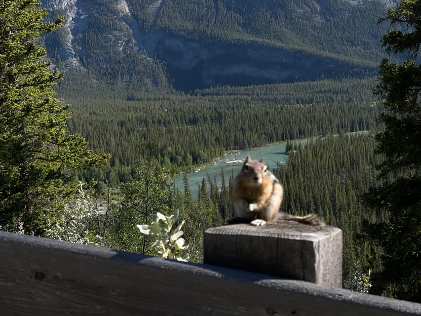 From Banff: Moraine Lake and Lake Louise Half Day Tour - Who this tour suits best (and who should skip it)