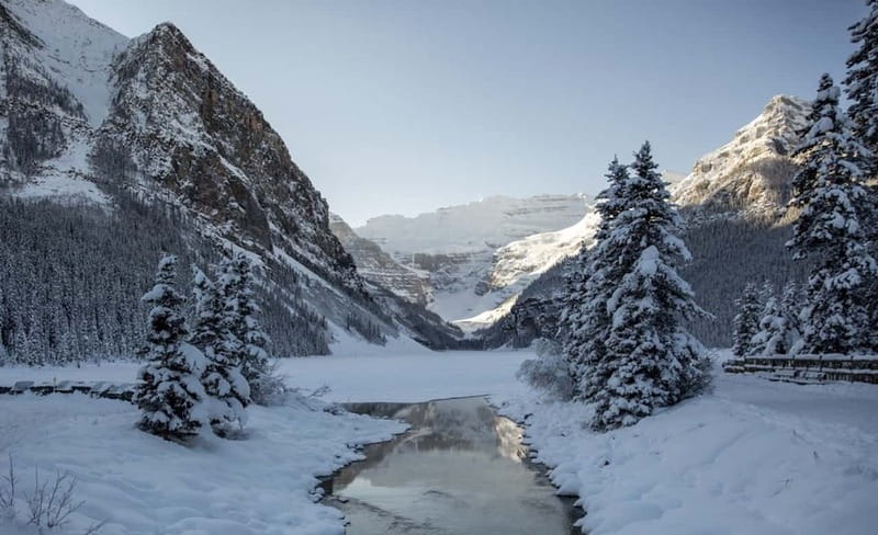 From Banff: Winter Wonderland; Lake Louise & Johnston Canyon - Snowshoeing deep powder: quieter trails and real winter effort