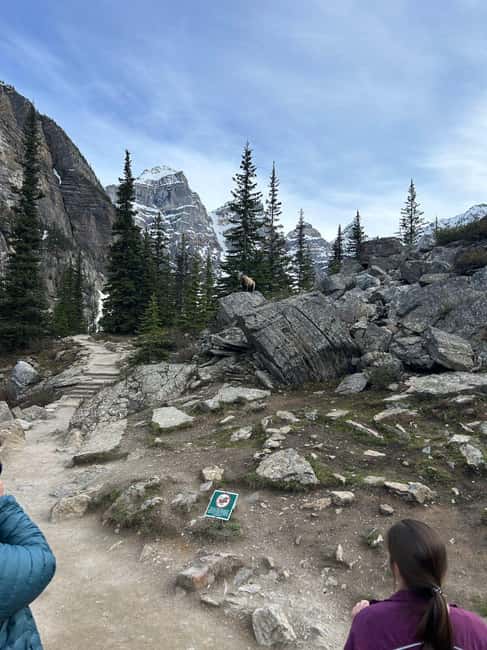 From Calgary/Banff: Moraine Lake & Lake Louise Half-Day Tour - Price and Value: Is $86 Fair for Two Icon Lakes?