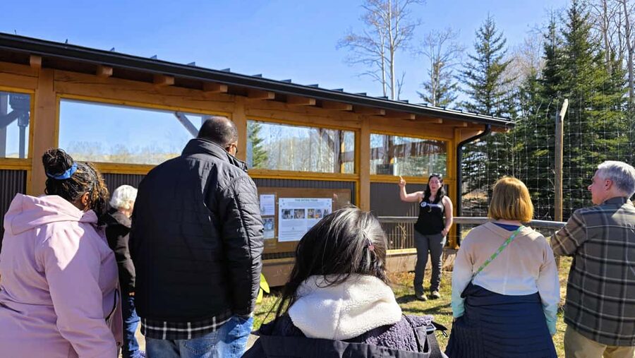 From Calgary to Banff: Day Trip with Wolfdog Sanctuary Visit - Key points worth knowing before you go