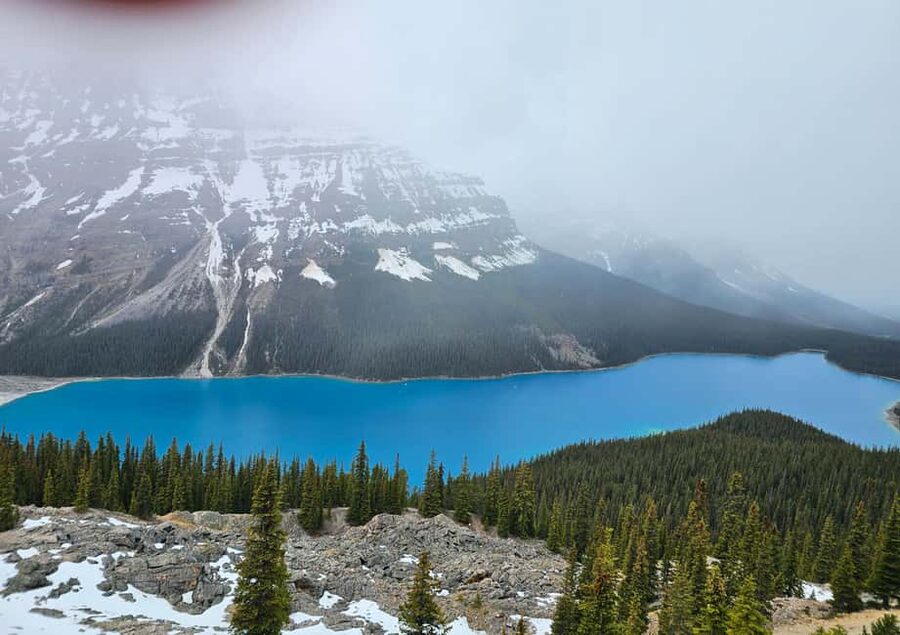 From Canmore/Banff: Icefields Parkway & Abraham Lake Bubbles - The road trip star: Icefields Parkway in winter
