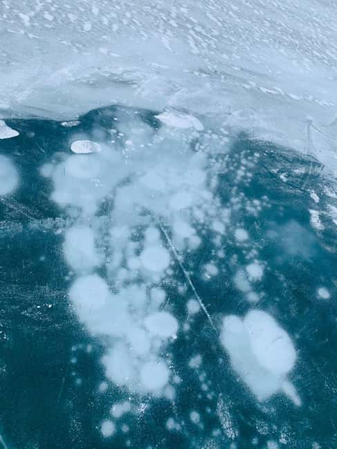 From Canmore/Banff: Icefields Parkway & Abraham Lake Bubbles - Abraham Lake ice bubbles: what you’re really hunting