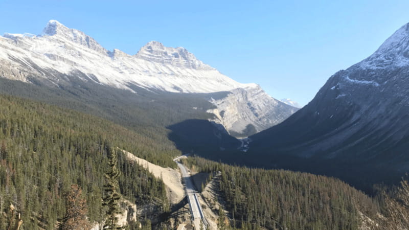 From Canmore/Banff: Icefields Parkway Experience - Price and Value: What $149 Buys on the Icefields Parkway