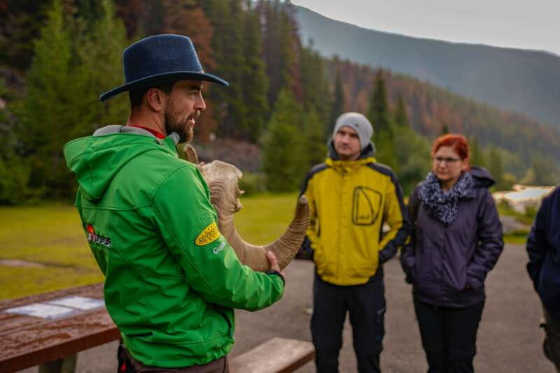 From Jasper: Jasper National Park Wildlife Discovery Tour - Key things to know before you go
