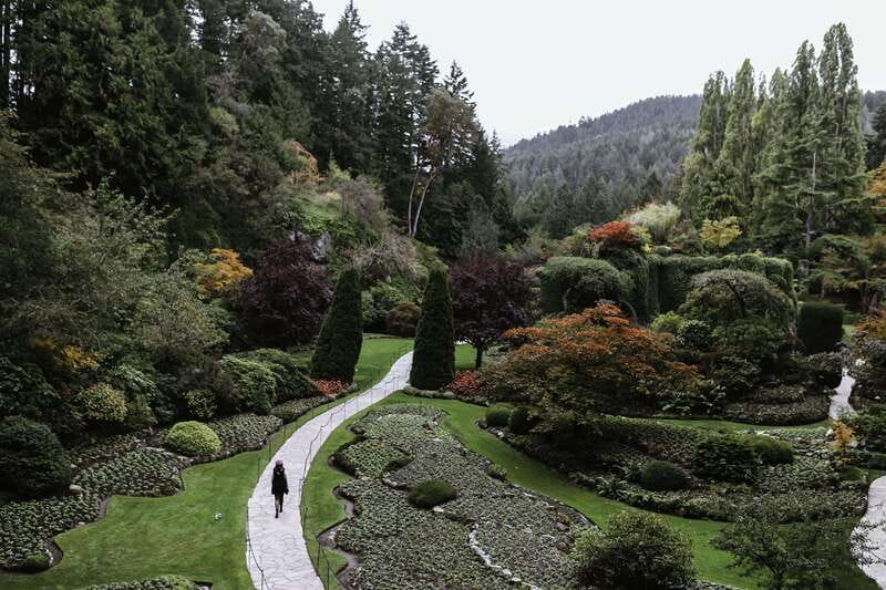 From Vancouver: Victoria, BC Ferry, Butchart Gardens Tour - Key Highlights That Make This Tour Worth It