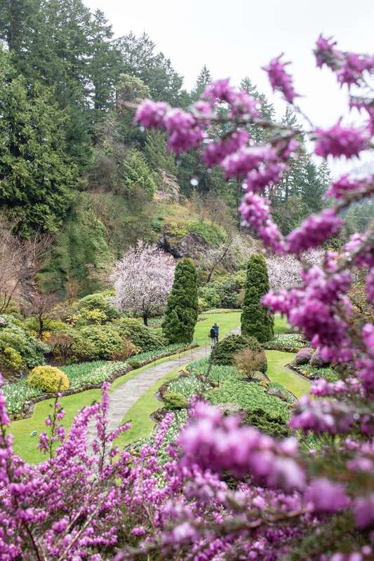 From Vancouver: Victoria, BC Ferry, Butchart Gardens Tour - Victoria Downtown for Two Hours: Guided Help, Then Freedom