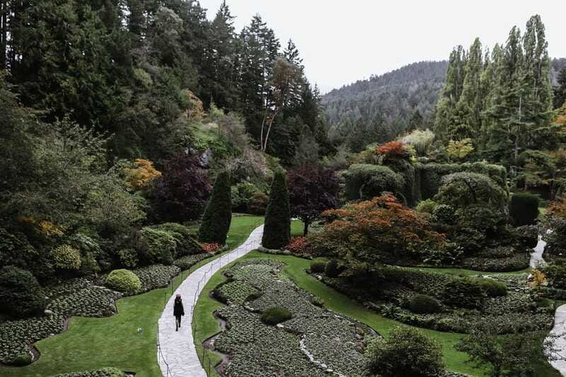 From Vancouver: Victoria, BC Ferry, Butchart Gardens Tour - Optional Afternoon Tea at Butchart Gardens: Worth It If You Have the Time
