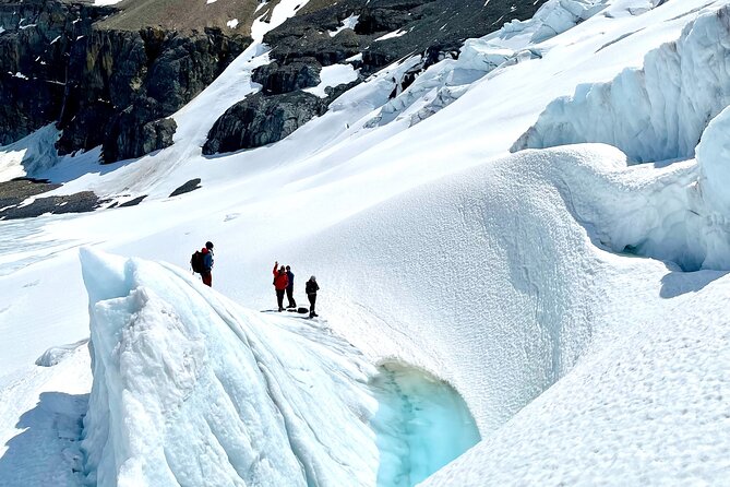 Full Day Guided Glacier Hike on The Athabasca with IceWalks - The hike level: moderate walking, serious traction