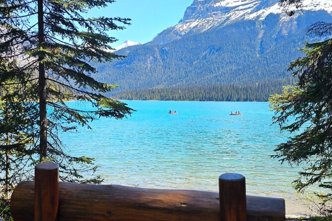 Full Day Private Tour Banff/Yoho Customized Sightseeing - Minnewanka and Two Jack Lake: wildlife water with a cruise add-on