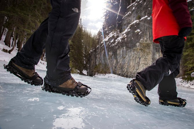 Grotto Canyon Icewalk - The value question: why $81.93 can be a good deal for this kind of day
