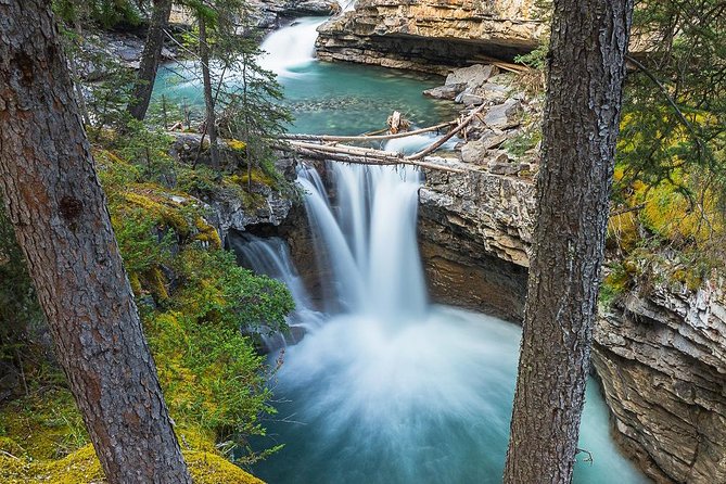 Hop-On and Hop-Off Banff Bus - The ride itself: Bow Valley Parkway and the school-bus vibe