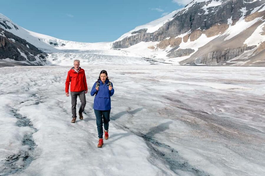 Icefield: Bow Lake, Columbia Icefield, Peyto Lake Day Tour - Icefields Parkway: the 232 km spine of your day