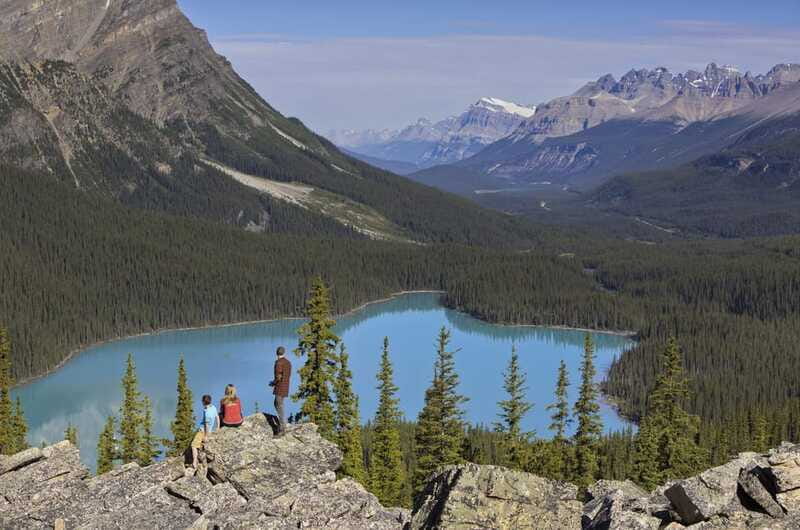 Icefield: Bow Lake, Columbia Icefield, Peyto Lake Day Tour - Should you book this Icefield day tour?