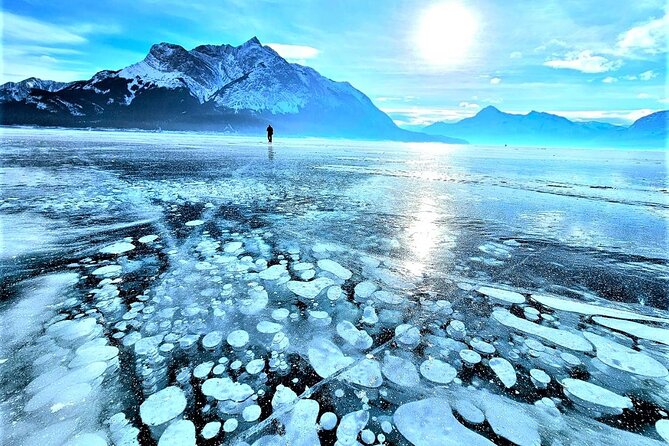 Icefields Parkway and Abraham Lake Bubbles Private Tour - Key Highlights You’ll Care About