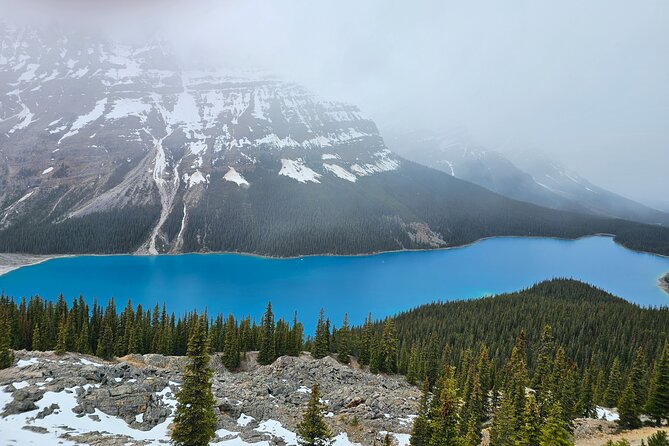 Icefields Parkway and Abraham Lake Bubbles Private Tour - Bow Lake and Crowfoot Glacier: Quick Stops With Big Visual Payoffs