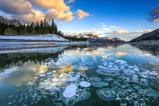 Icefields Parkway and Ice Bubbles of Abraham Lake Adventure - Banff National Park time: built-in flexibility with smart surprise stops