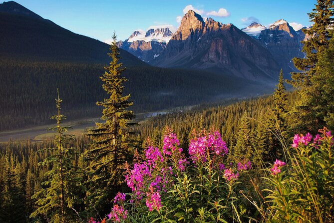 Icefields Parkway Self-Guided Driving Audio Tour - Jasper-to-Banff road stories: the first pulls and the best easy stops