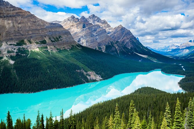 Icefields Parkway Self-Guided Driving Audio Tour - Short hikes near the road: Panther Falls to Weeping Wall