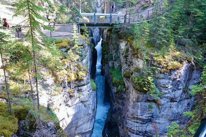 Jasper and Columbia Skywalk Icefield Parkway Private Day Tour - What you actually get for $1,046.84 per group