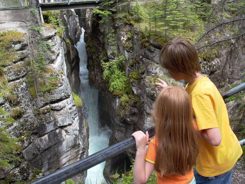 Jasper: Maligne Valley Wildlife & Spirit Island Cruise - Who this tour suits best (and who should look elsewhere)