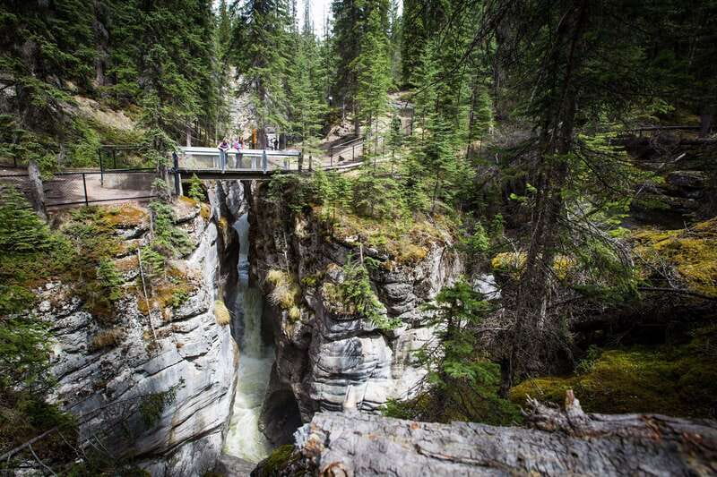 Jasper: Sightseeing Tour with Maligne Lake Cruise - Key Points You Should Know Before You Go