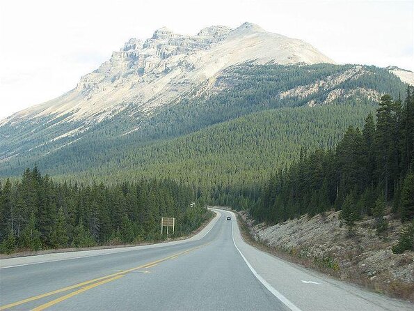 Jasper to Lake Louise One-Way Tour - Key moments you’ll care about