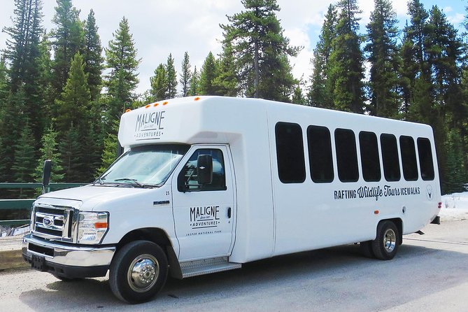 Jasper Wildlife and Sightseeing Tour with Maligne Lake Hike - Maligne Lake Hike: The Guided 2–3 km Lakeshore Portion That Changes the Day