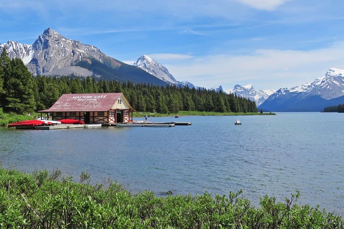 Jasper Wildlife and Sightseeing Tour with Maligne Lake Hike - The Maligne Adventures and Jasper National Park Moments