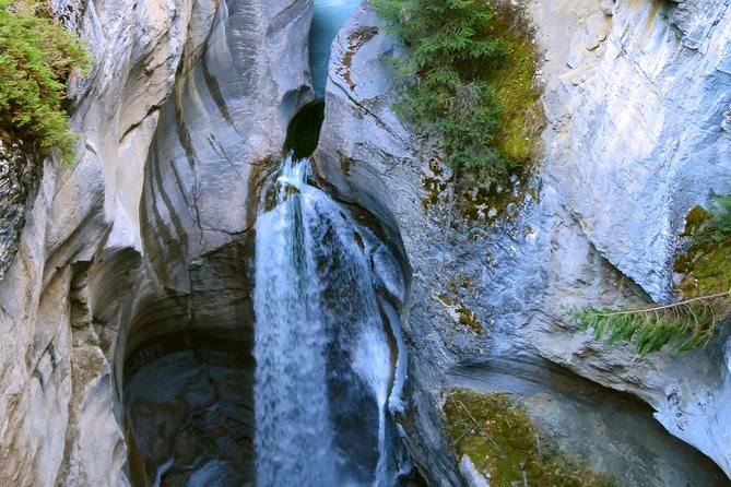 Jasper Wildlife and Sightseeing Tour with Maligne Lake Hike - Getting There: Jasper Pickup, Minibus Comfort, and the Meeting Point