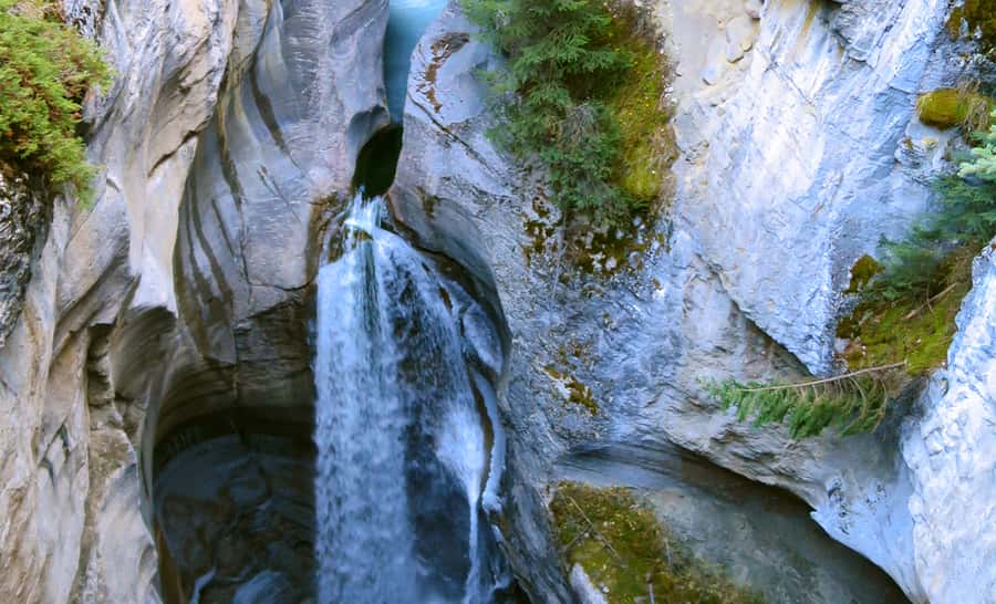Jasper: Wildlife and Waterfalls Tour with Lakeshore Hike - Key Points You’ll Care About